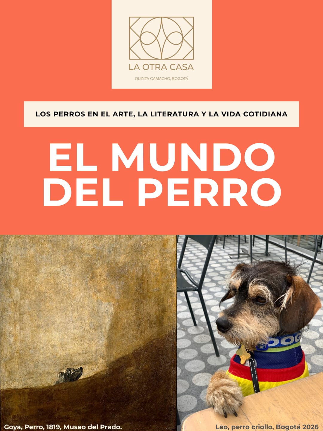 El mundo del perro — conversatorio con Patricia Zalamea.